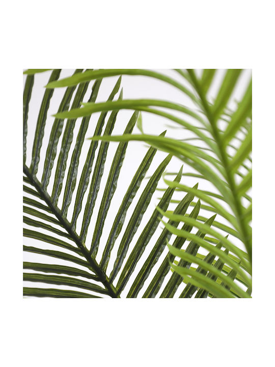 Outdoor Palm Tree Newplan