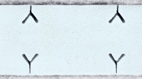 Sensillo Στρώμα Κούνιας με Κοκοφοίνικα 60x120+13cm