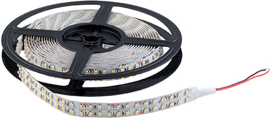 Elmark Αδιάβροχη Ταινία LED 12V Ψυχρό Λευκό Φως 5m Τύπου SMD5050