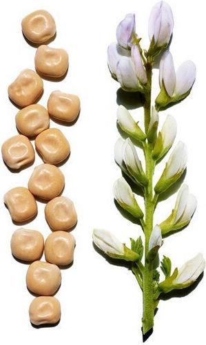 Clarins Екстра Стягащ Фит Ėнхидратиращ & Против стареене Серум за Лице за Блясък & Стягане 50мл