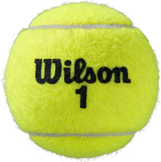 Wilson Roland Garros All Court Μπαλάκια Τένις για Τουρνουά 4τμχ