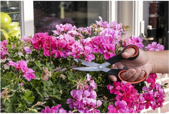 Black & Decker 23538 Scissor