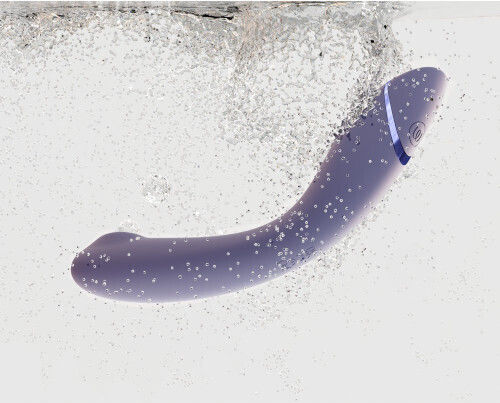 Womanizer Journey to Ecstasy Purple