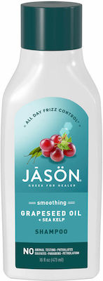 Jason Smoothing Sea Kelp Frizzy Hair Shampoos Smoothing for Dry Hair 473ml