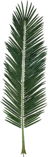 Artificial Decorative Branch Areca Palm Green 280cm GloboStar