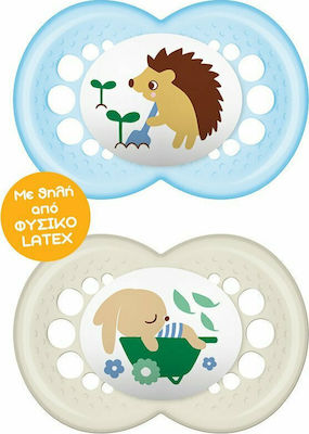 Mam Orthodontic Pacifiers Rubber Porcupine/Log Light Blue / Beige for 6-16 months 2pcs