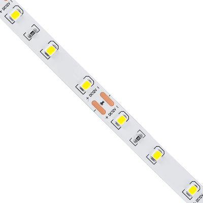 GloboStar LED Streifen Versorgung 12V mit Kaltweiß Licht Länge 5m und 60 LED pro Meter SMD2835