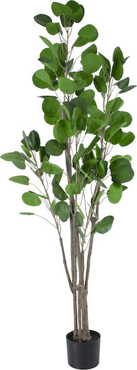 Εξωτερικού Χώρου 4τμχ GloboStar Εξωτερικού Χώρου 4τμχ GloboStar