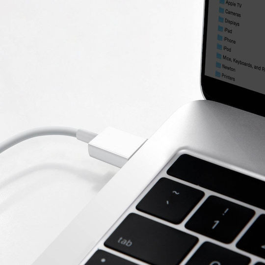 Oppo DL143 Редовна USB 2.0 Кабел USB-C мъжки - USB-A мъжки 20W Бял 1м