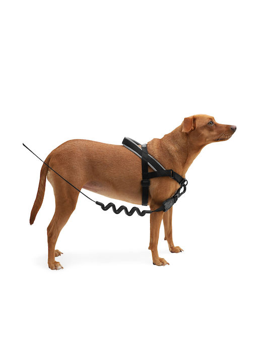 Zee-Dog Εκπαιδευτικό Softer Walk Gotham Μαύρο Large 25-33cm