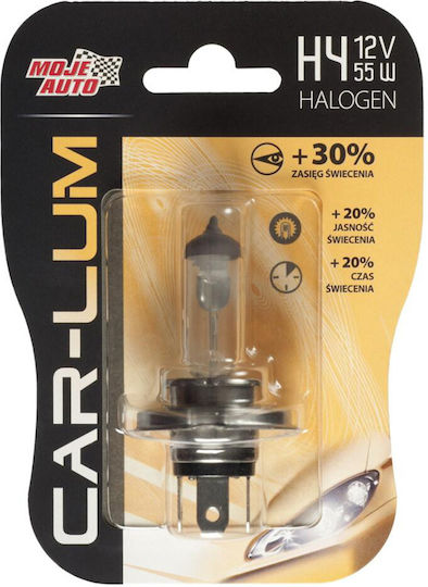 Moje Auto Lampen Auto H4 Halogen 12V 1Stück