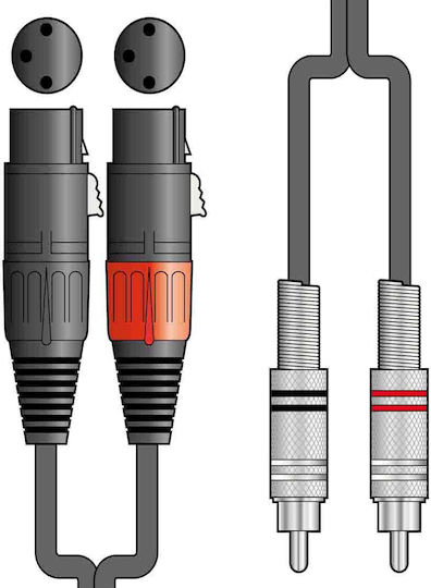 Citronic Cable 2 x XLR female - 2 x RCA male Μαύρο 0.75m 190.061UK
