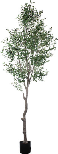 Olive Topfpflanze GloboStar Olive Topfpflanze GloboStar