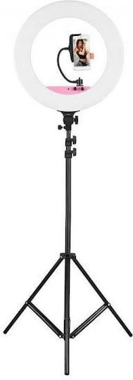 IRiSfot Led Photo Ring Light 01838 Ring Light 26cm 2500 - 6000K with Tripod Floor and Mobile Holder