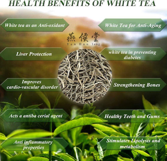 Weißer Tee Bai Mu Dan China 50 g