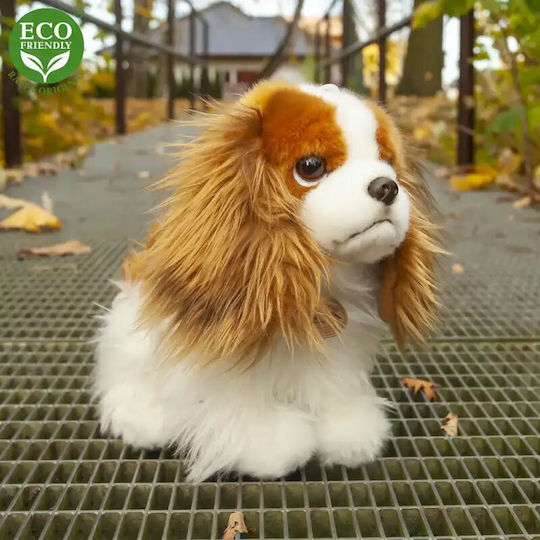 Λούτρινο Σκυλάκι King Charles Spaniel 25 εκ.