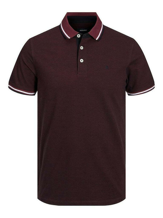 Polo T-shirt Port Royale / White 12136668