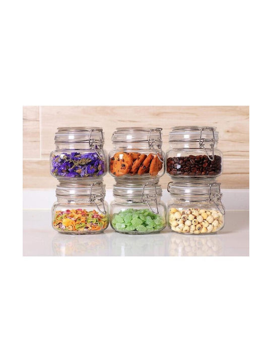 Viosarp Vase General Use with Airtight Lid Glass Transparent 500ml