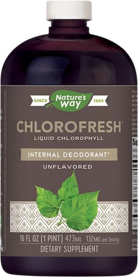 Nature's Way Chlorofresh 480ml