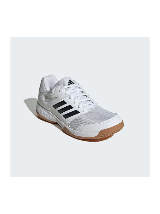 Speedcourt Damen Sportschuhe Volleyball Cloud White / Core Black / Gum