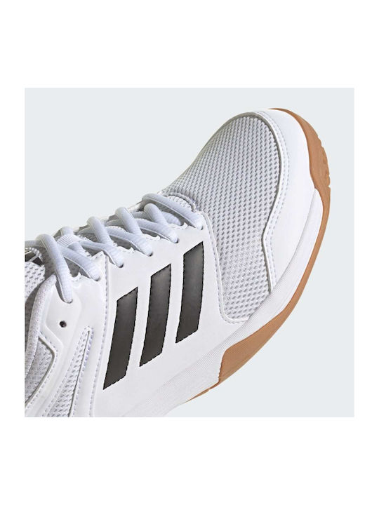 Speedcourt Damen Sportschuhe Volleyball Cloud White / Core Black / Gum