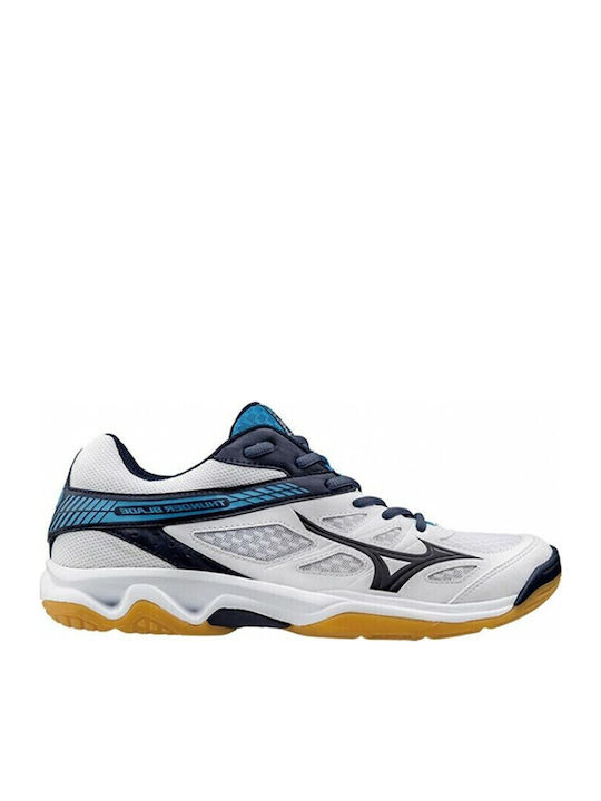 Mizuno
