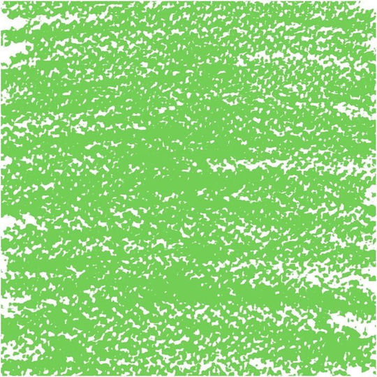 Royal Talens Λαδοπαστέλ Permanent Green Medium(5) (614.5)