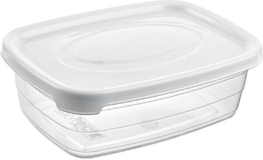 Viosarp Plastic Lunch Box Trendy Transparent 2000ml