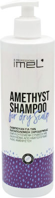 Imel Amethyst Shampoos Against Dry Skin for Dry Hair 500ml