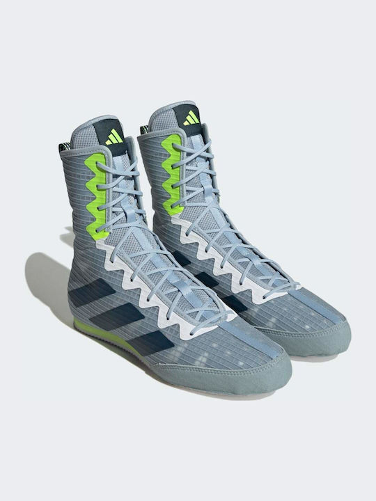 adidas Box Hog 4 adidas Box Hog 4