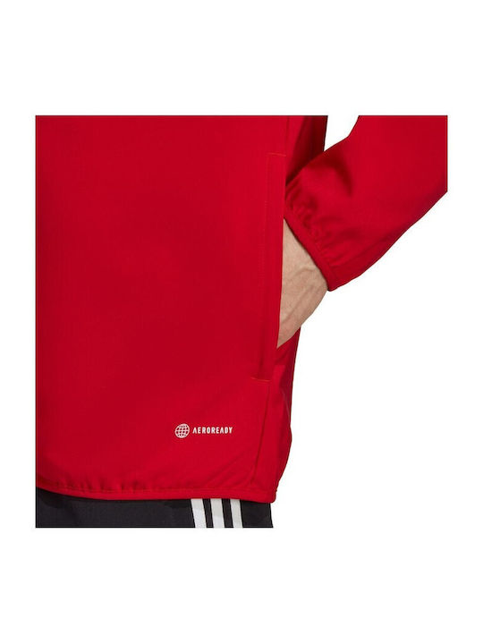 Tiro 23 League Sweatshirt mit Kapuze Rote