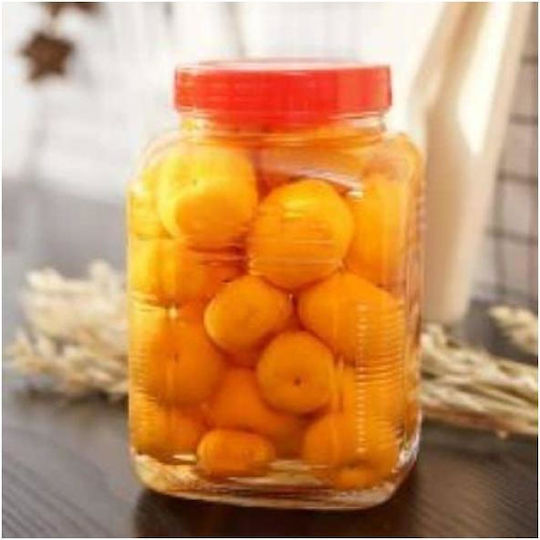 Viosarp Viosarp Allgemeine Verwendung Glas Transparentes Vasen mit Deckel 1450ml