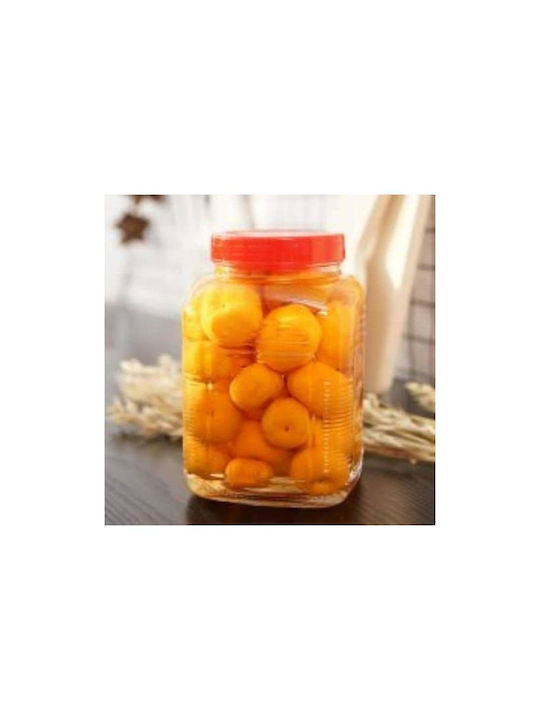 Viosarp Vase General Use with Lid Glass Transparent 4450ml FY2123A