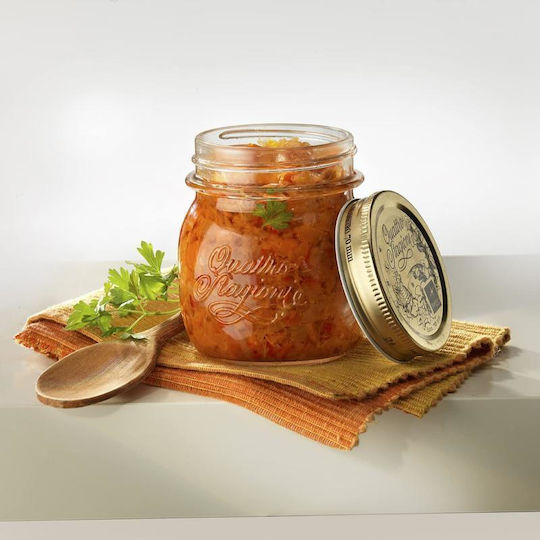 Viosarp General Use Glass Jar with Lid Transparent 500ml 1 Piece