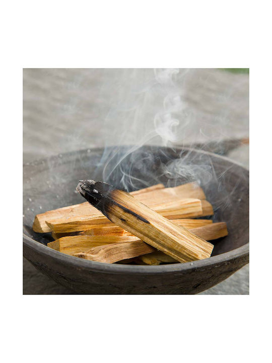 Ancient Wisdom Αρωματικά Sticks Θυμίαμα Iερό Ξύλο Green Tree Natural Palo Santo PSANTO-01 25gr