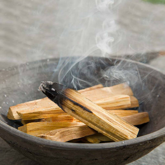 Ancient Wisdom Αρωματικά Sticks Θυμίαμα Iερό Ξύλο Green Tree Natural Palo Santo PSANTO-01 25gr