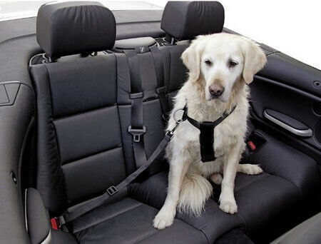 Kerbl Seatbelt Car for Dog Dog Chest Harness 80-110cm. Black