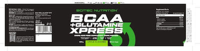 Scitec Nutrition BCAA + Glutamine Xpress 600gr Citrus Mix