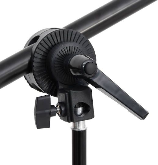 vidaXL Studio Photography Kit Set Lights & Background Lighting Kit for Studio