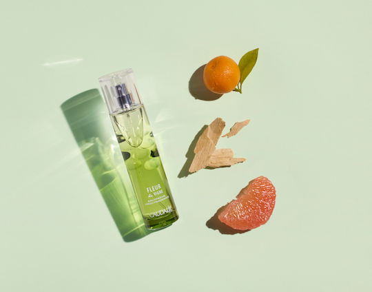 CAUDALIE FLEUR DE VIGNE Eau Fraîche Caudalie Fleur de Vigne Eau Fraiche 50ml | Skroutz Romania