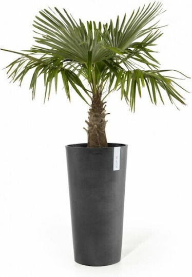 Ecopots Pot Plastic 34x34x66cm.