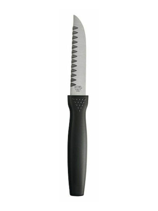 Icel Messer Peeling aus Edelstahl 9cm 941.9519.09 1Stück