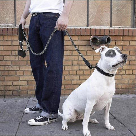 Purlov Dog Leash/Lead Strap Purlov in Black color 5m x 1.2cm