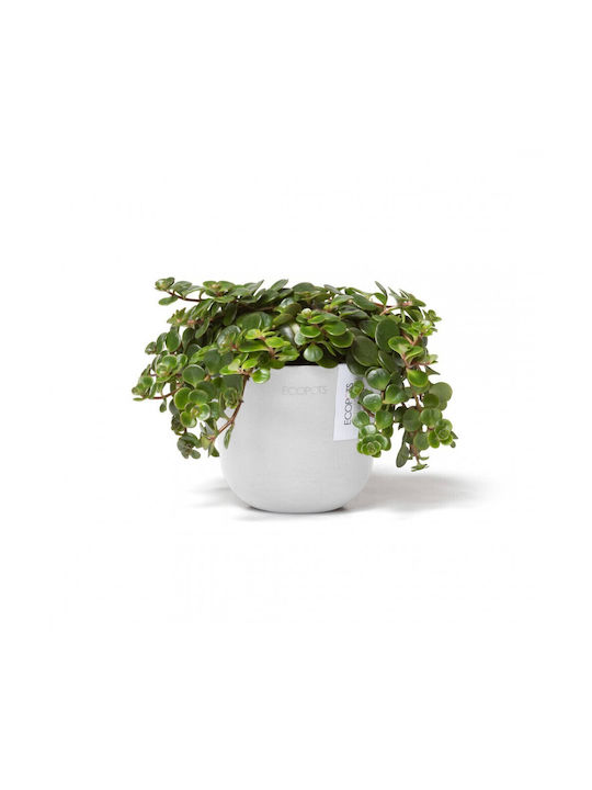 Ecopots Oslo Mini Саксия Пластмаса Pure White 11.5x11.5x10см.