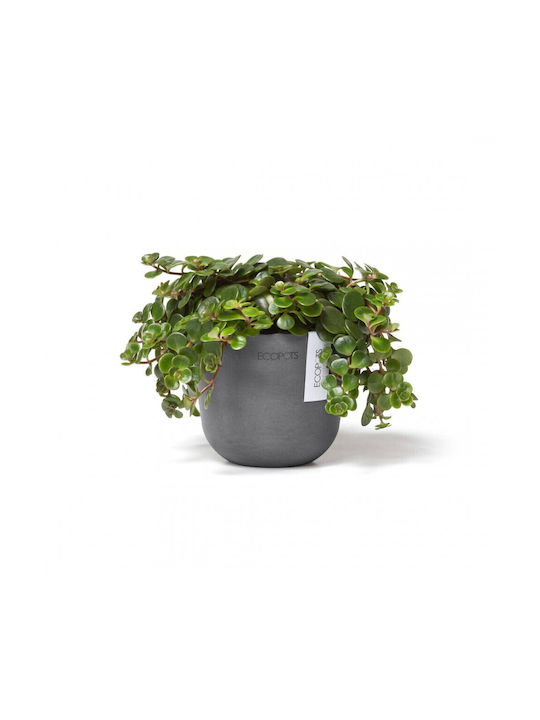 Ecopots Oslo Mini Pot Plastic 11.5x11.5x10cm.