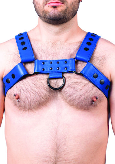 Kinksters Ανδρικό Harness Μπλε