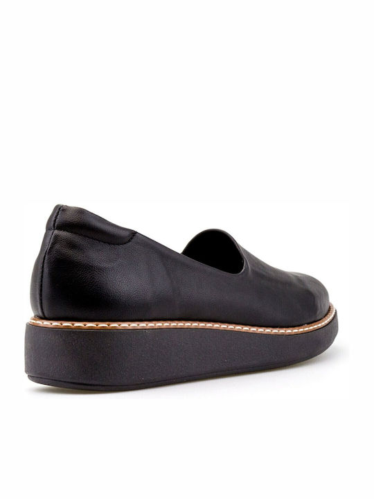 Silia D