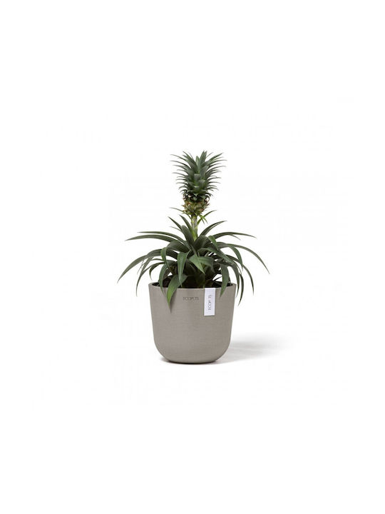 Ecopots Oslo Mini Flower Pot Hanging 16x13cm Taupe 74.029.16TA