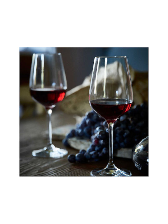 Butlers Pahar Vin roșu / de sampanie din Cristal Pahar cu picior 480ml