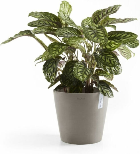 Ecopots Amsterdam Γλάστρα Πλαστική Taupe 30x30x26.3εκ.